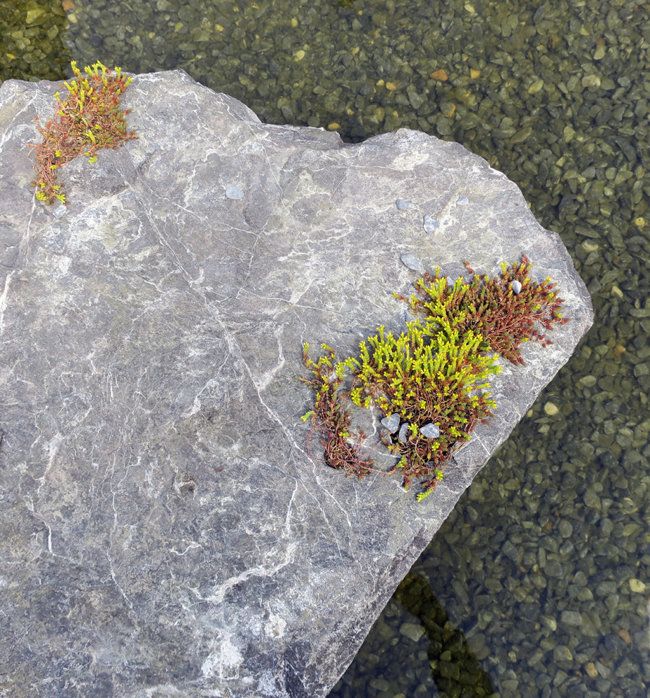 Руст и поперечно исчерченная дорожка