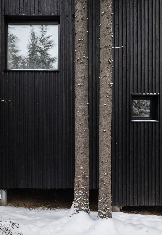 Houzz тур: Дом для двух художников на краю леса