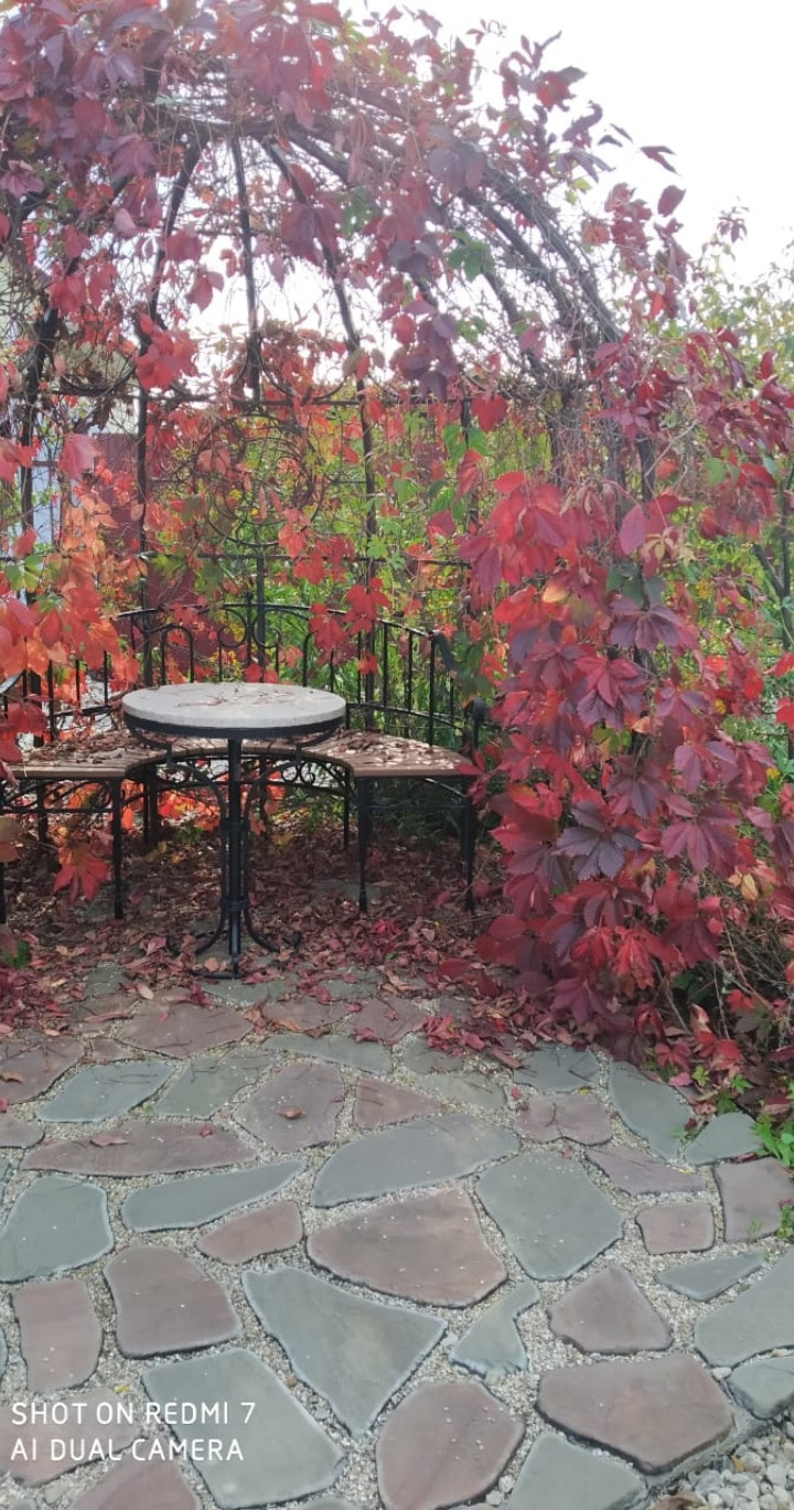 Сад трав и цветов.