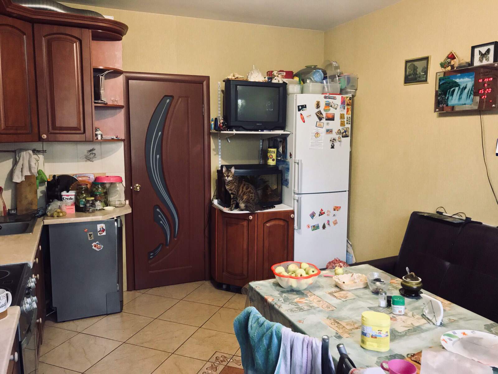 квартира , общие зоны.