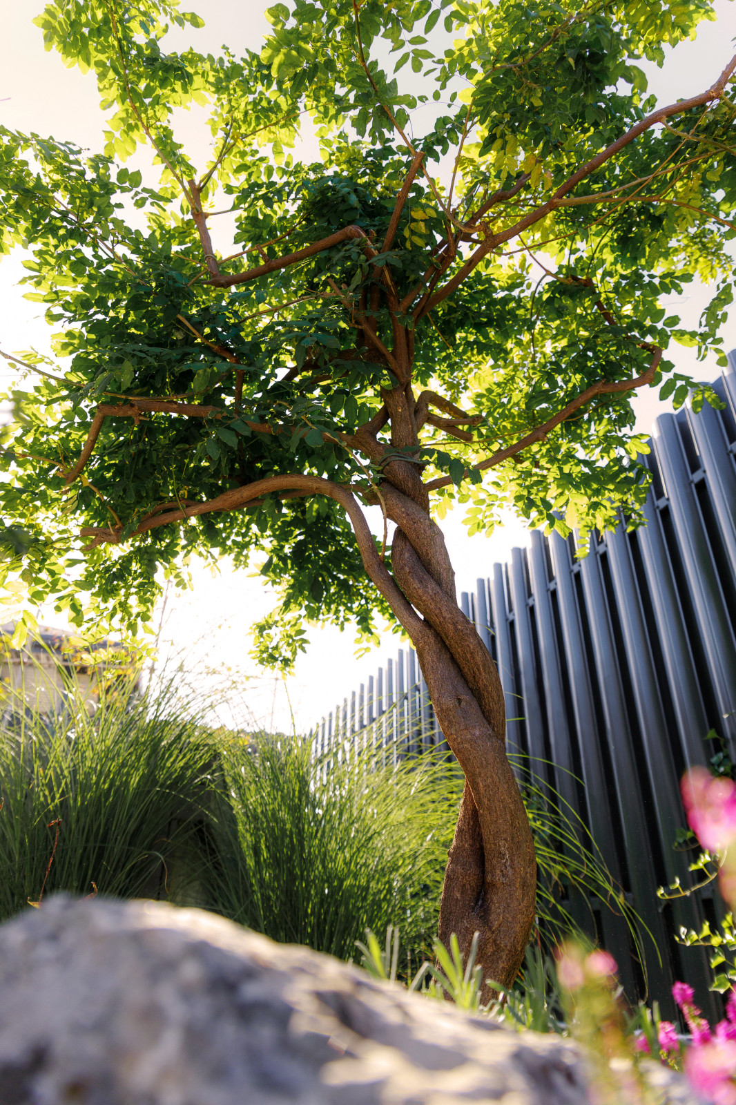 Mediterranean Garden