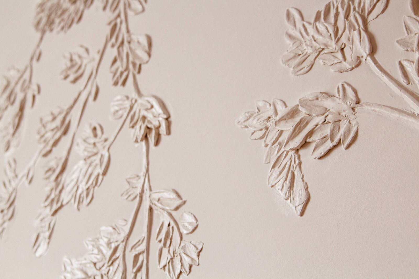 Обложка проекта: Древо жизни.