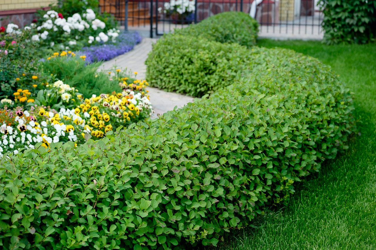 Обложка альбома: Солнечный