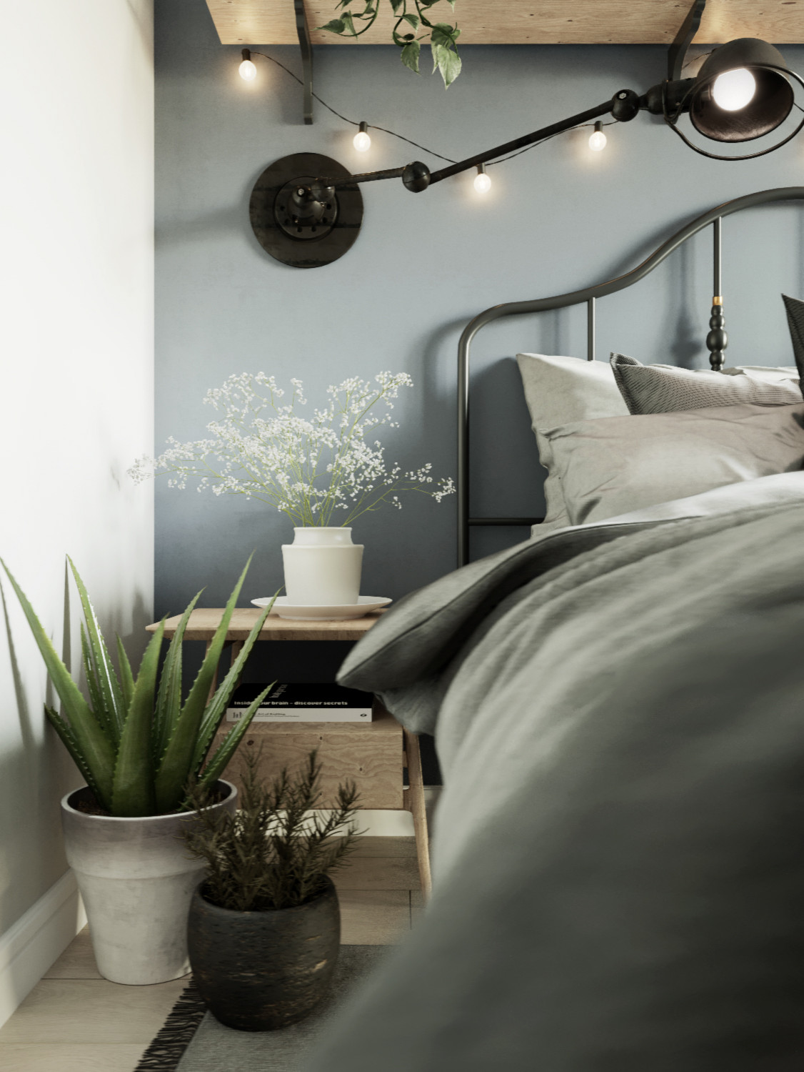 Проект квартиры Лыткарино