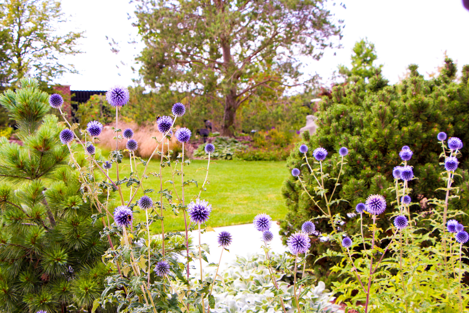 Горки-10, 2017-2020 г.г.