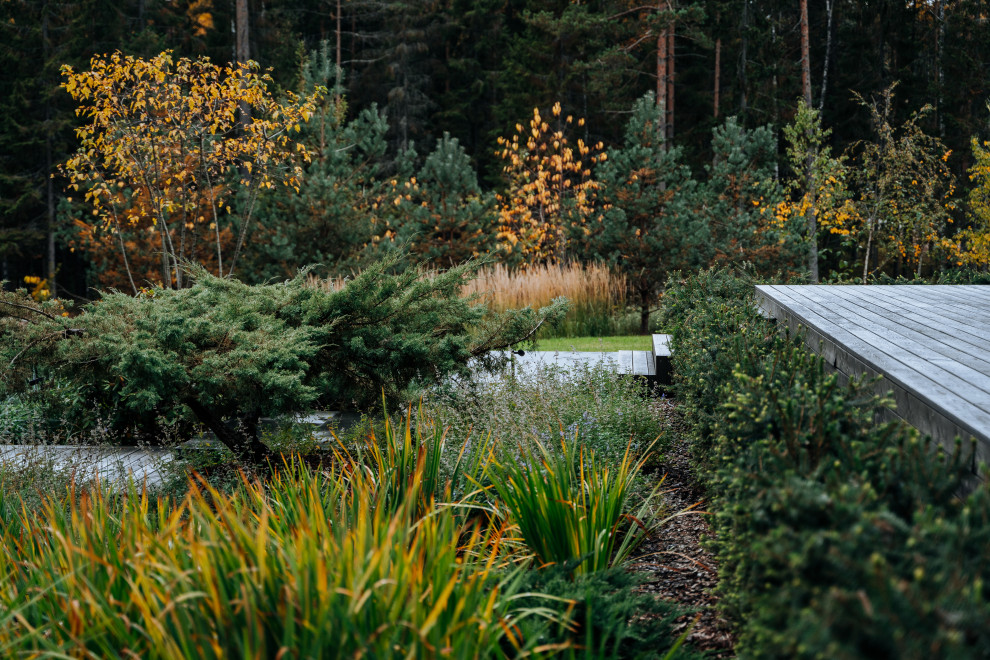 Северный сад