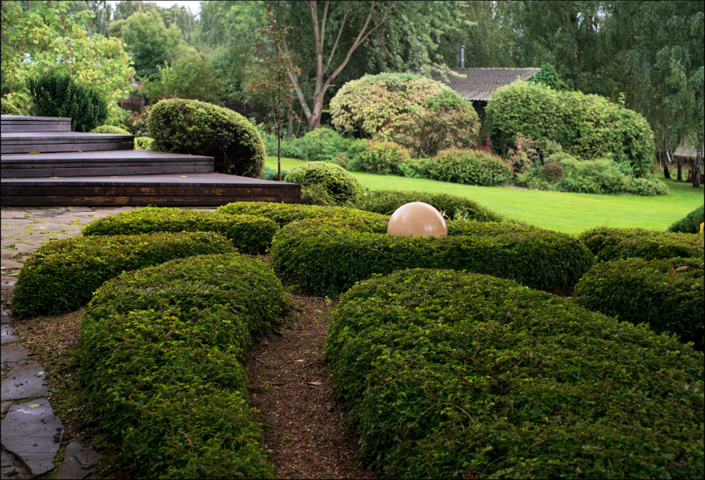 Обложка проекта: Мираж