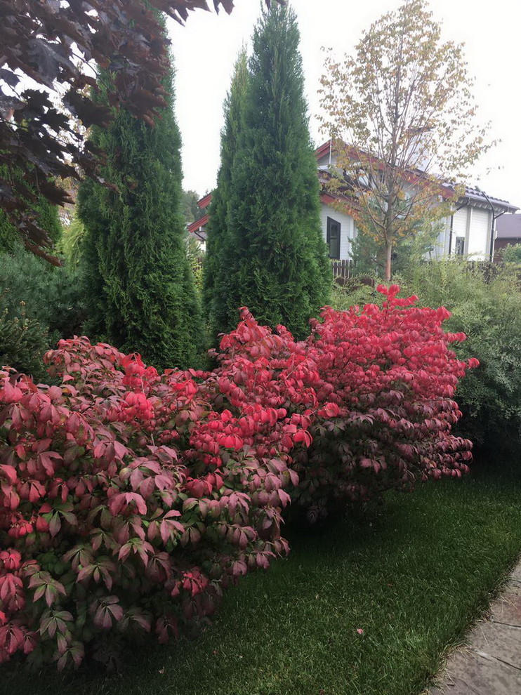 Витро Кантри