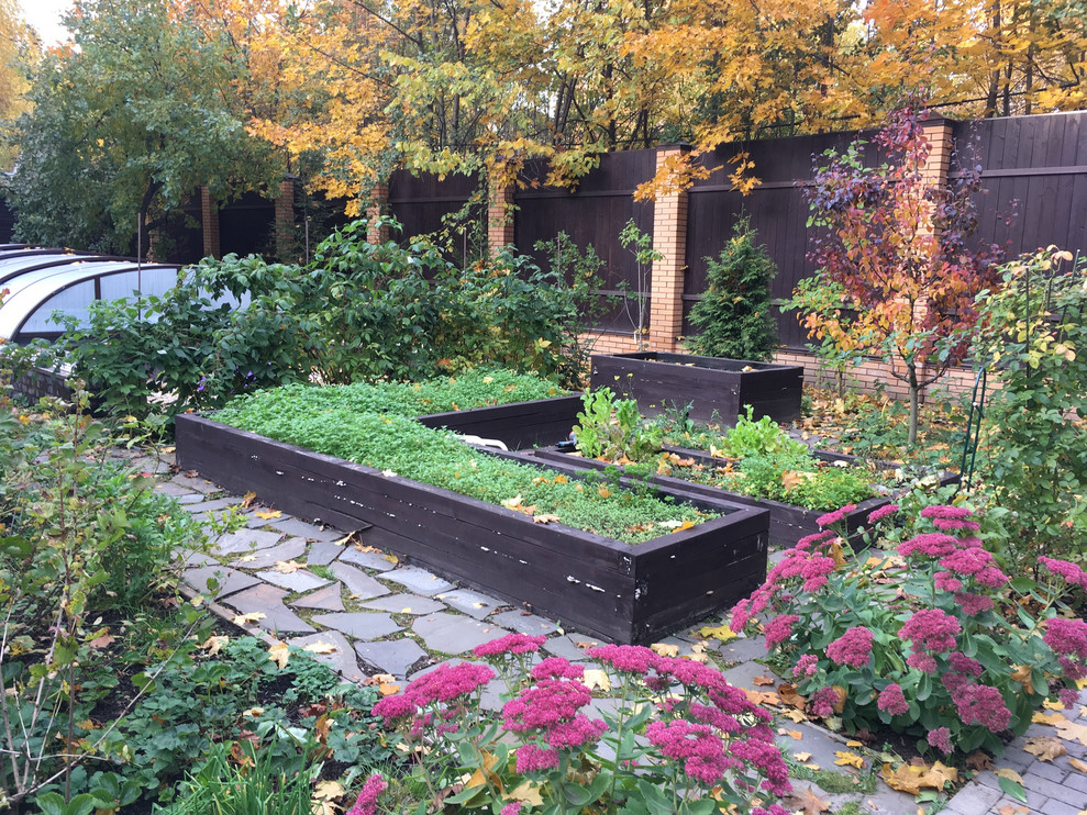 Белкин сад. Осень 2019