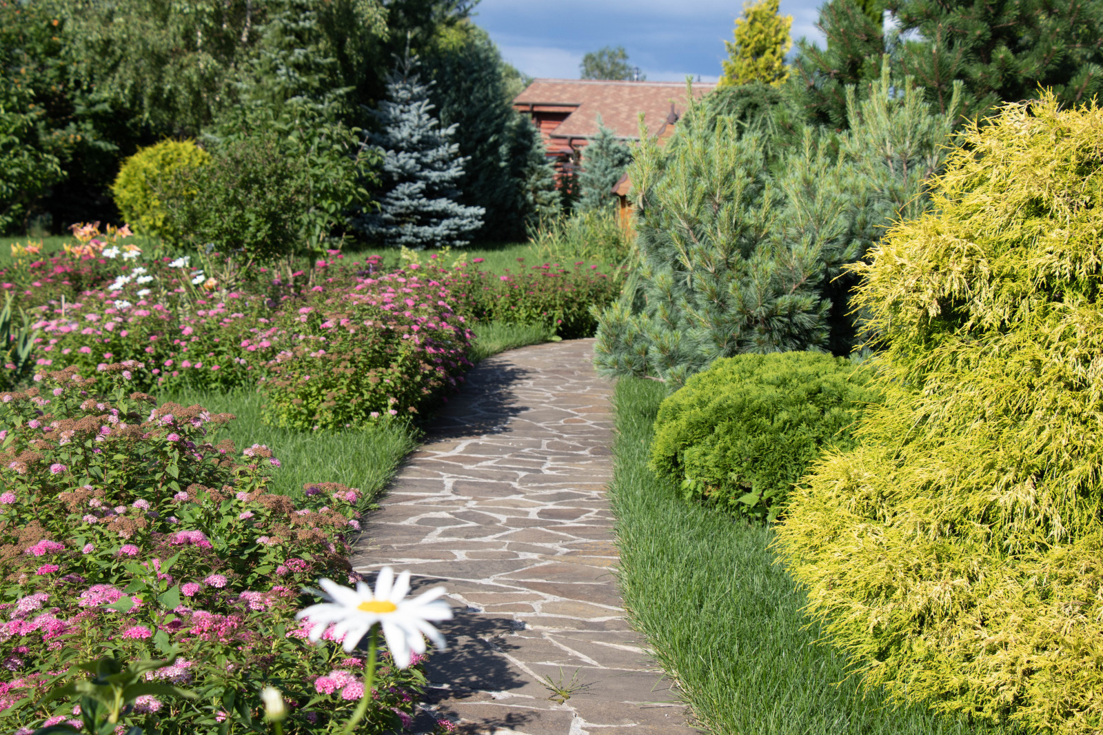 Сосновые берега