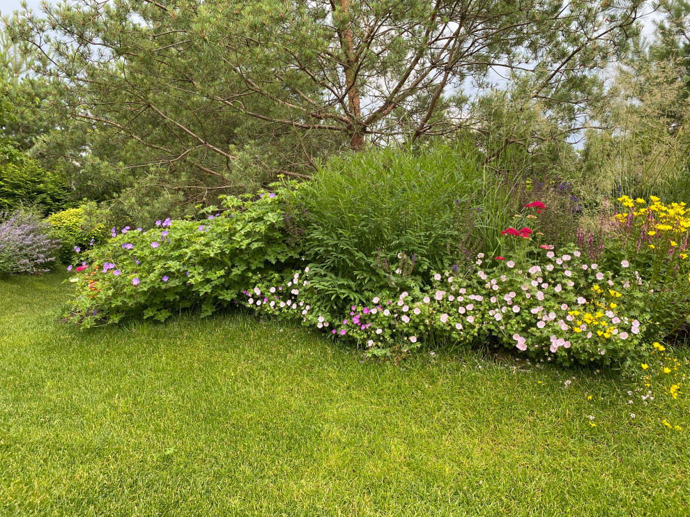 КП Пестово "Evergreen'