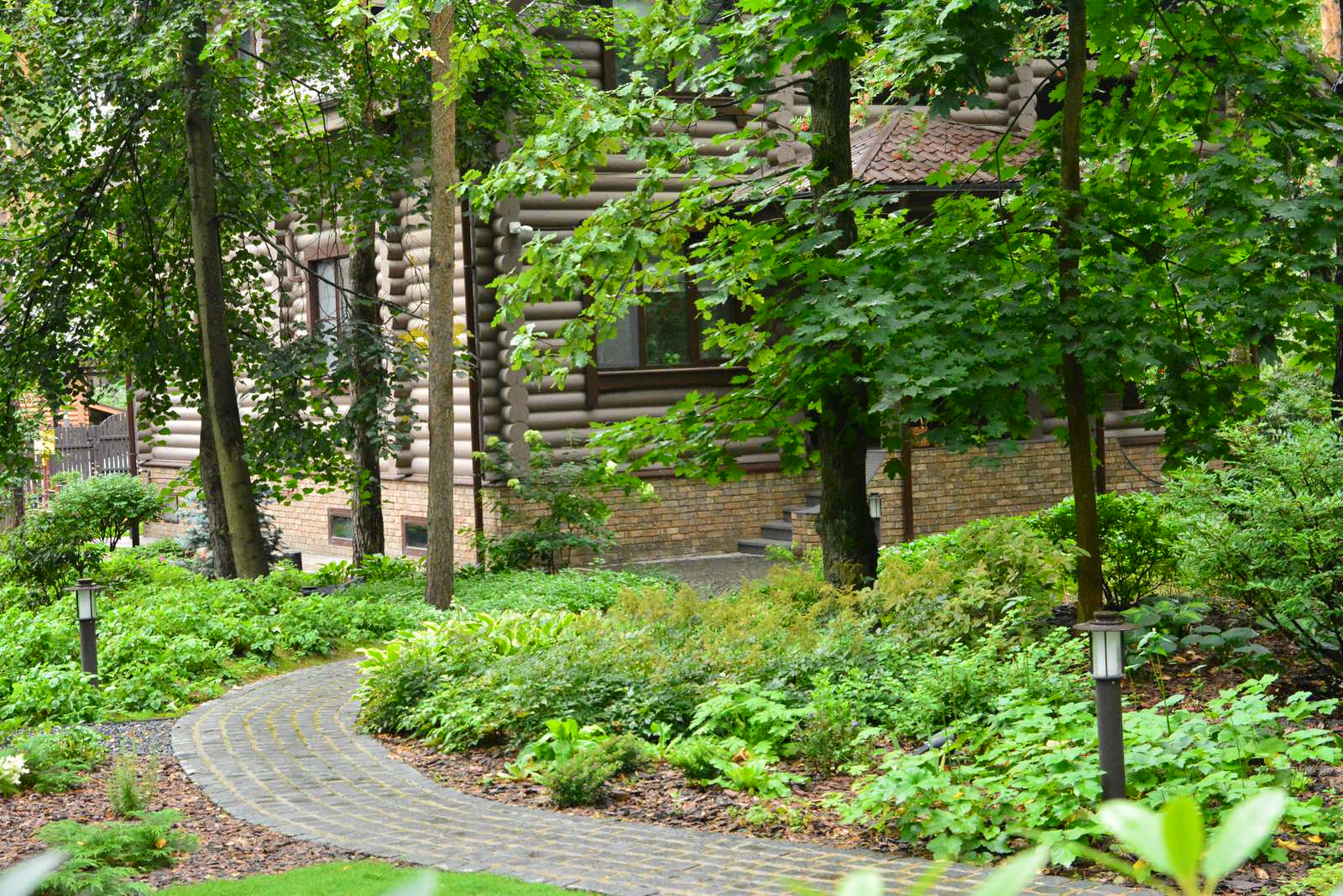 Заповедный бор