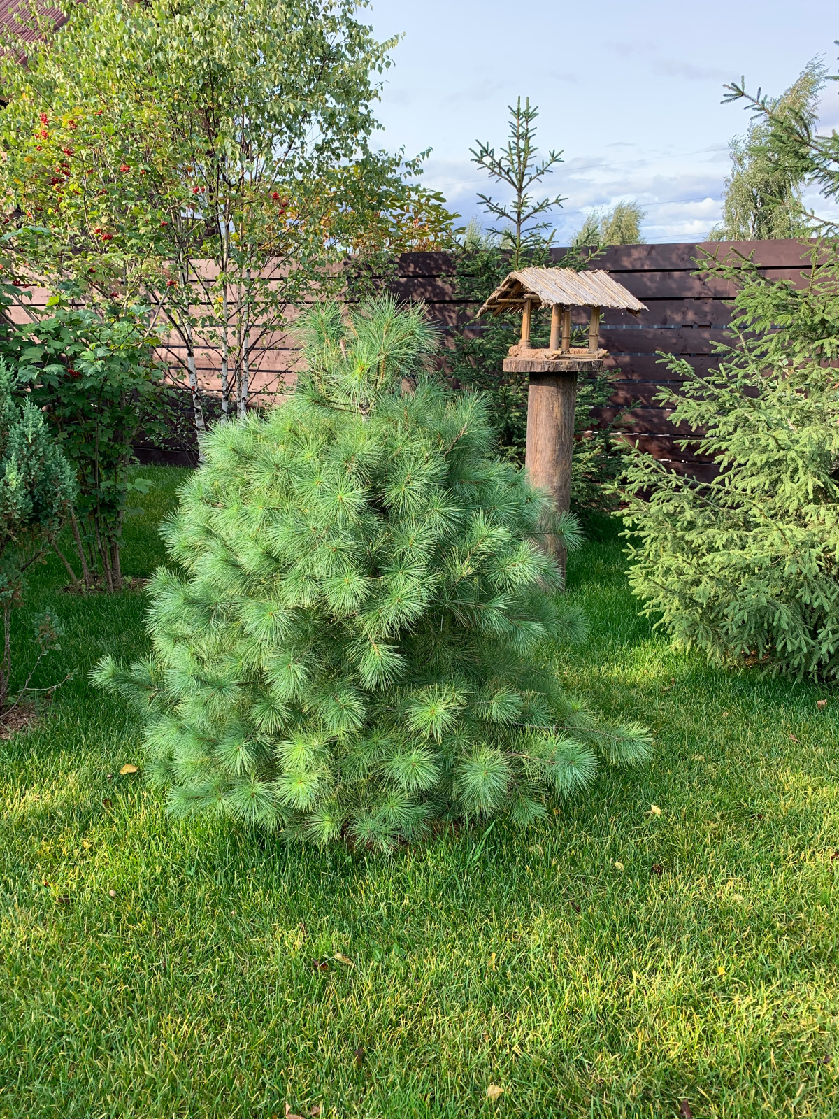 Территория удовольствий.Частный сад.