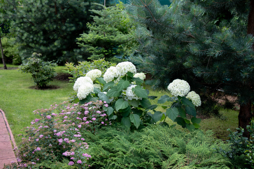Французский садик в поселке Рыбаки Дмитровское шоссе