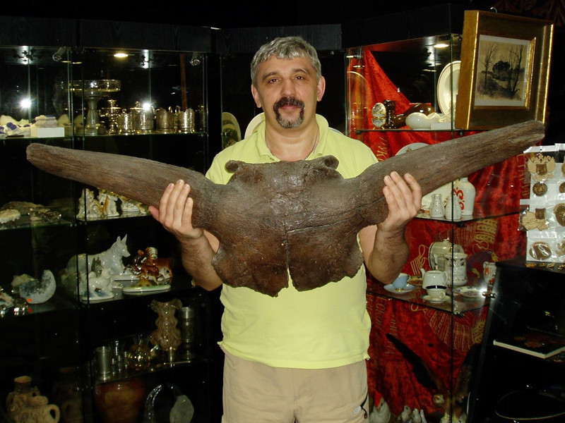 Обложка проекта: Все о профессии антиквара