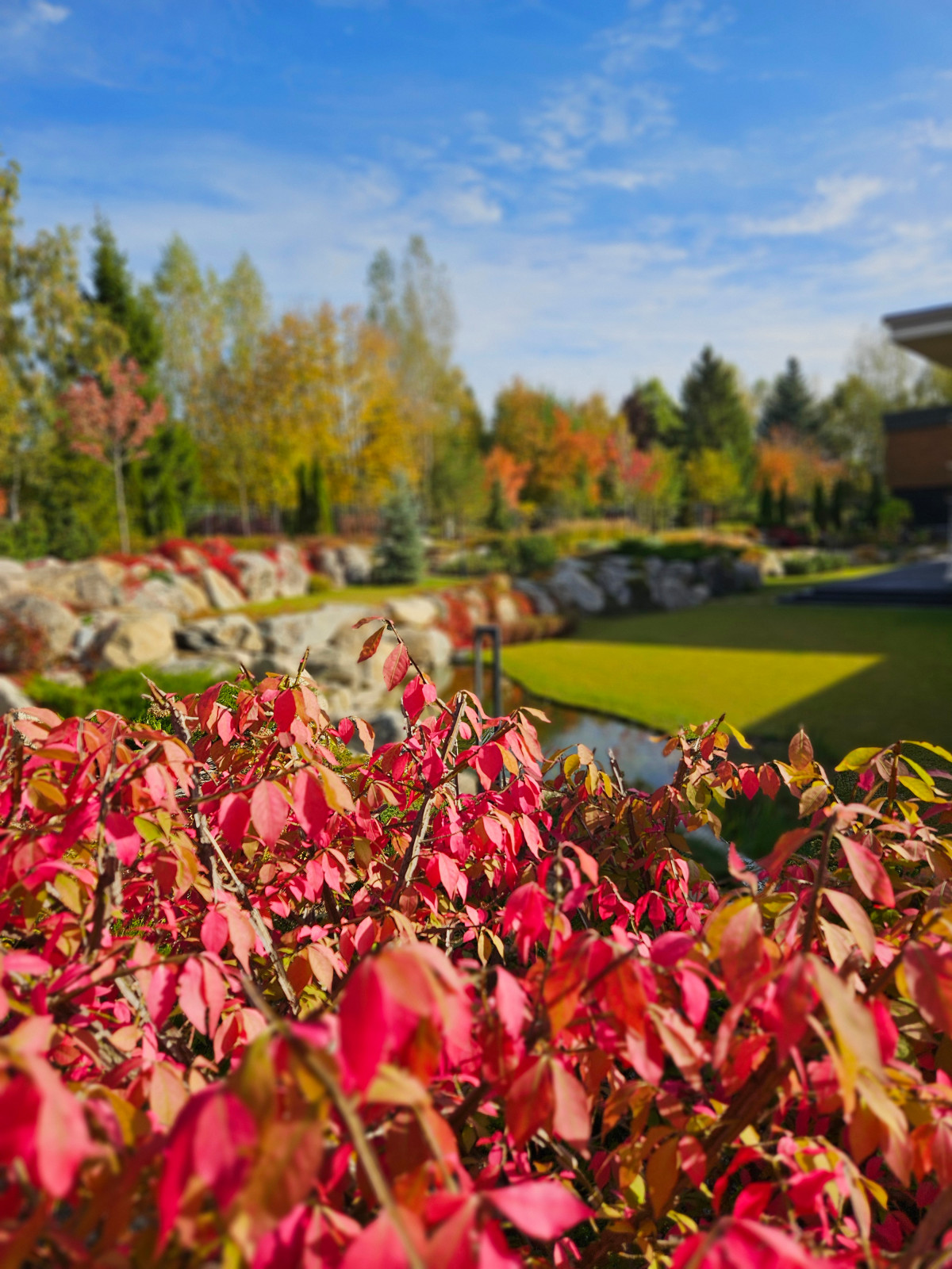 Миллениум парк 2024