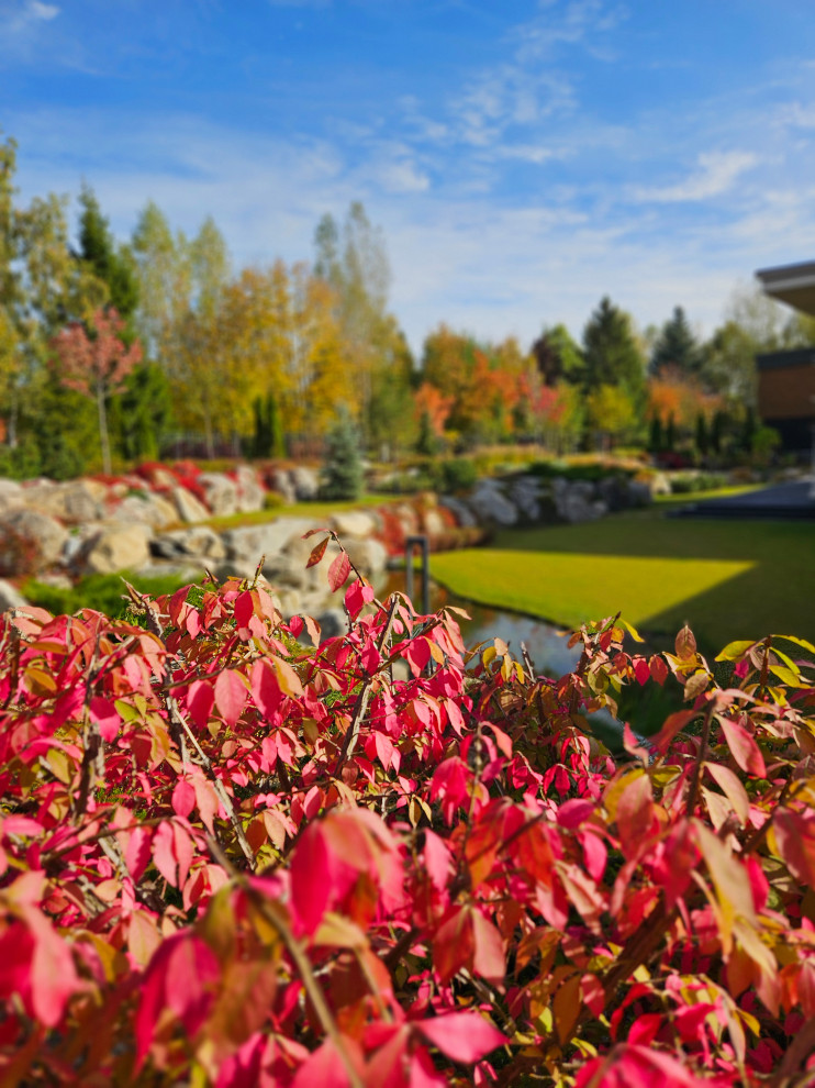 Миллениум парк 2024