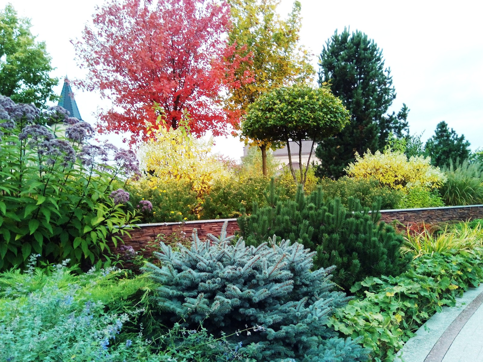 кп "Милениум" - Профессиональный уход за садом - 100% качество!