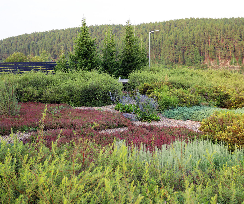 Полынный берег. Новые снимки
