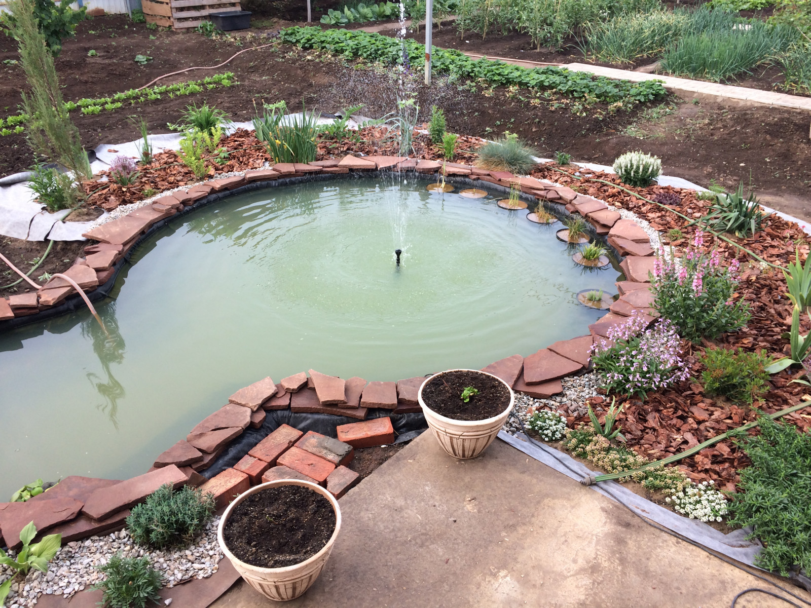 Садовый пруд с мостиком