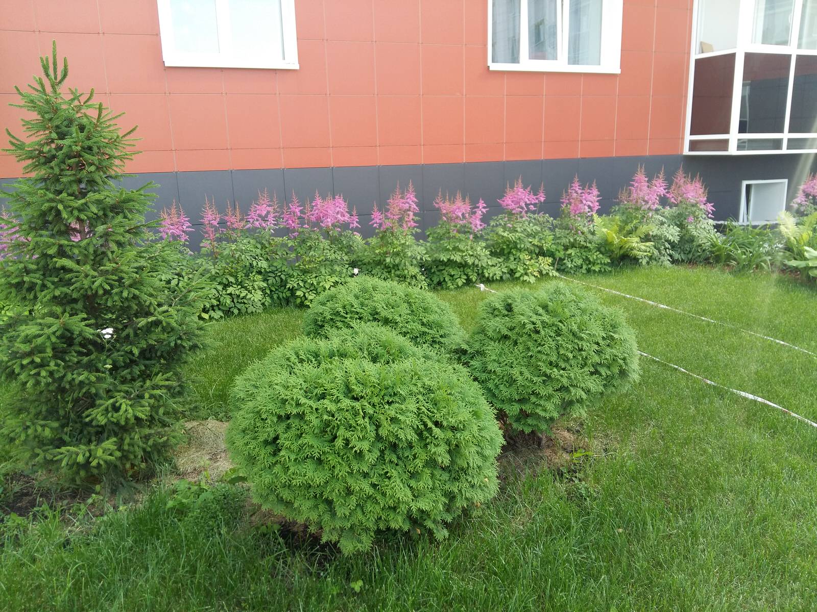 Красота у подъезда