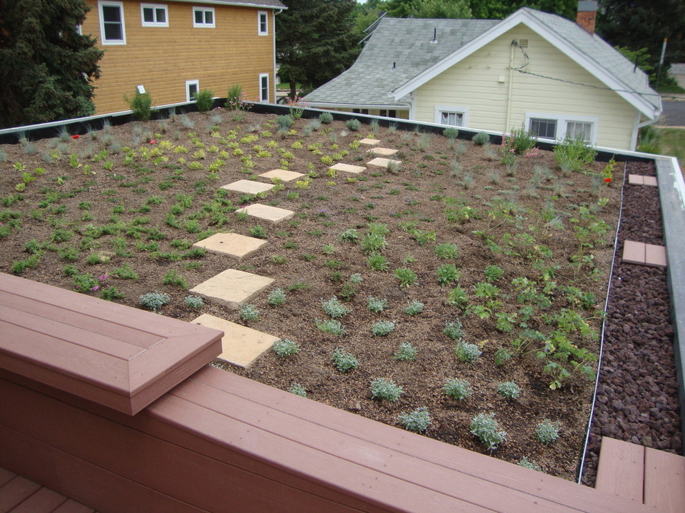 «Зеленая крыша»