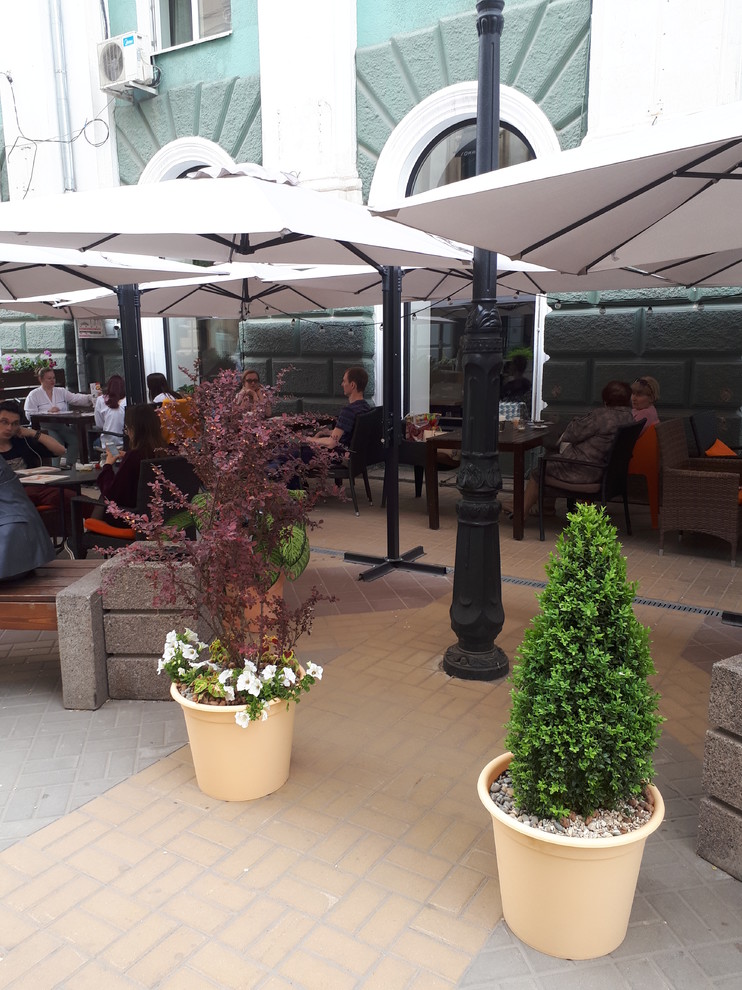 Контейнерное озеленение