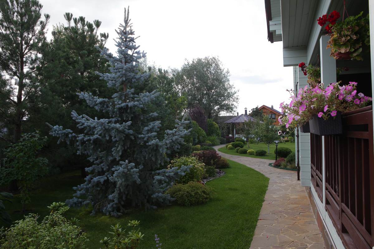 Витро Кантри 2