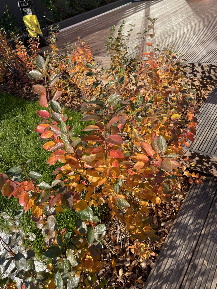 КП "Кратово"