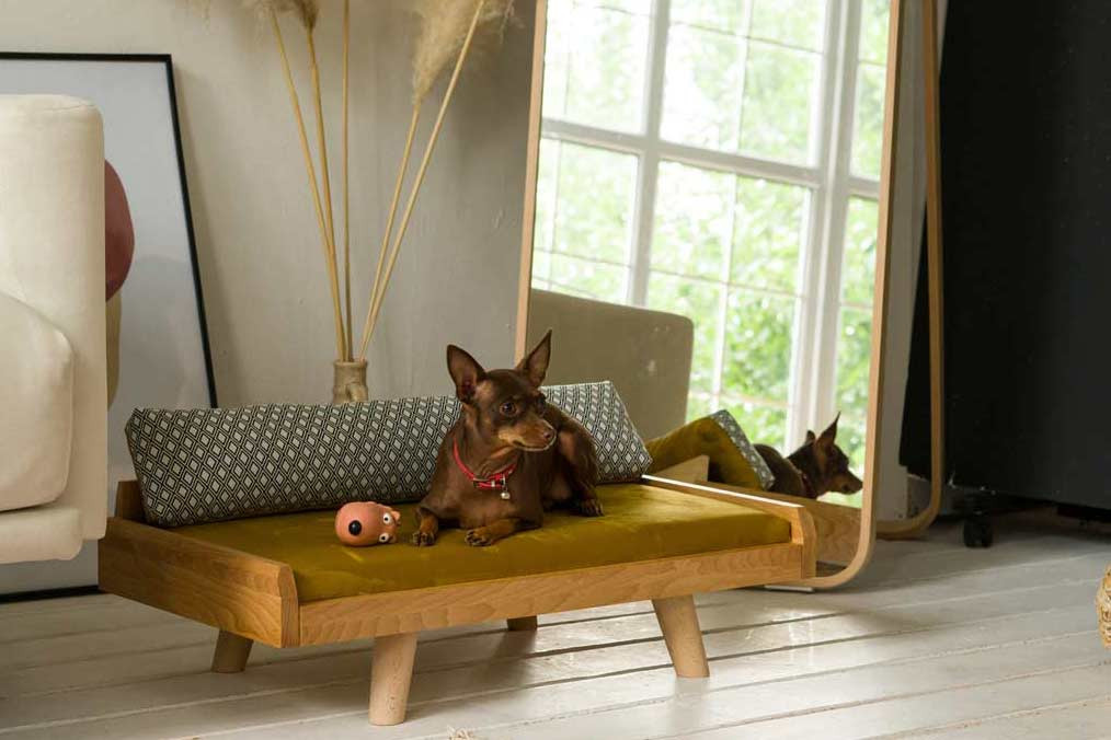 Обложка проекта: Кровать для собак и кошек OLZY