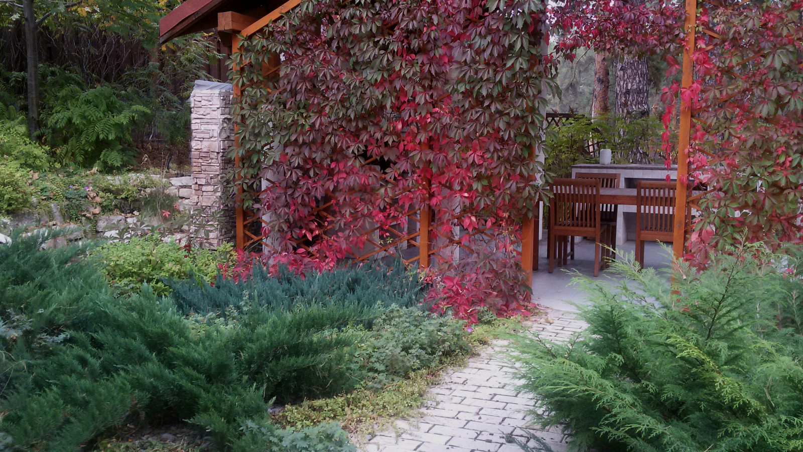 Сосновый бор