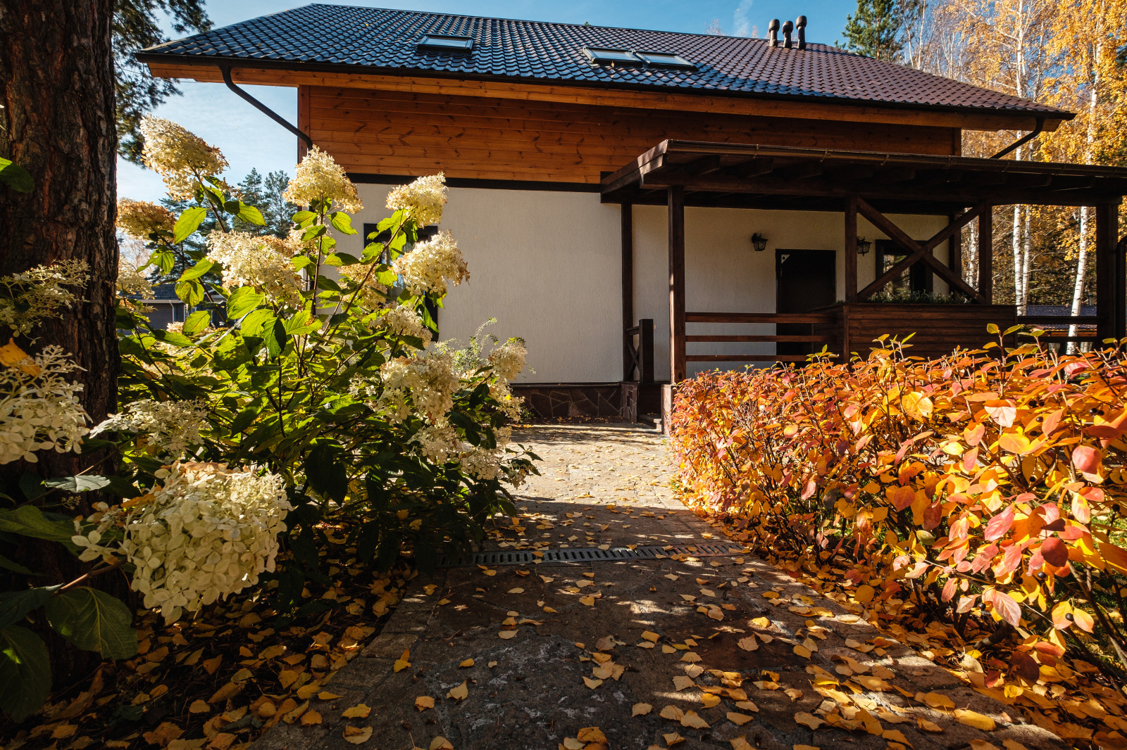 У леса на опушке