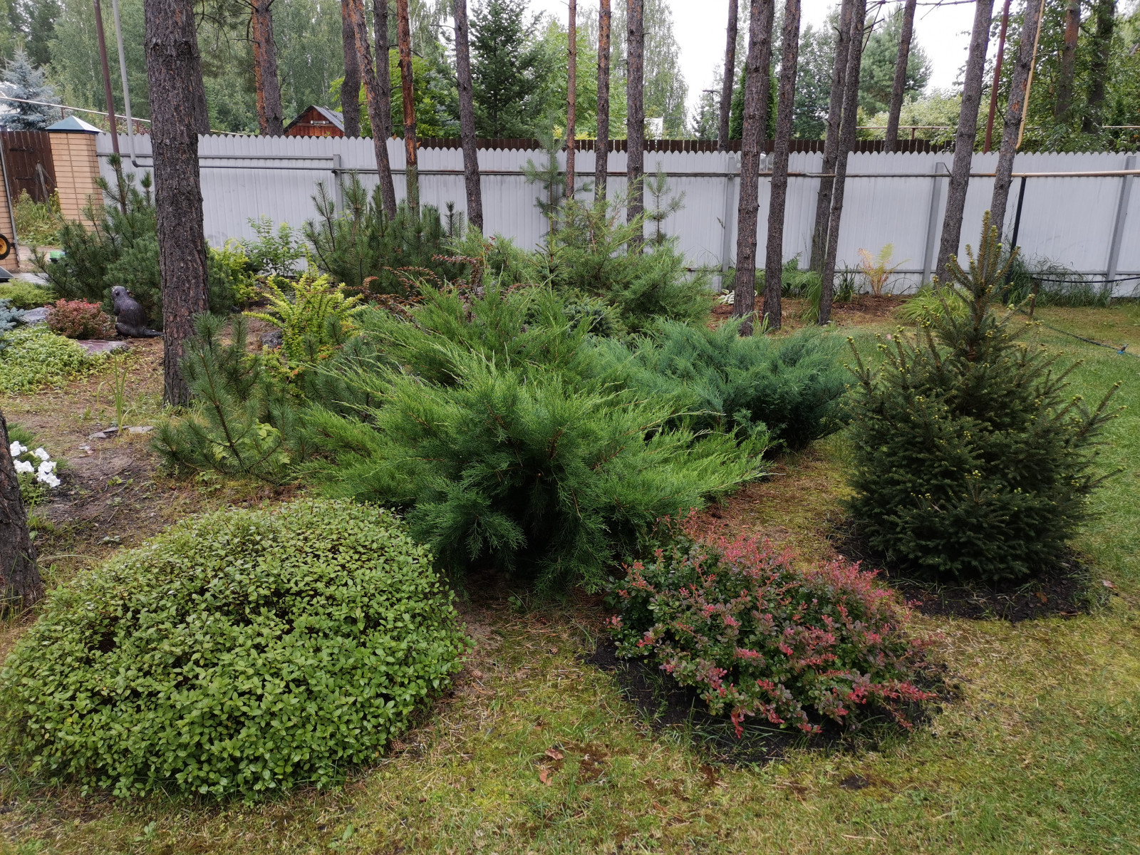 Обложка проекта: Лесная сказка Марий Эл. Сад в стиле Naturgarden