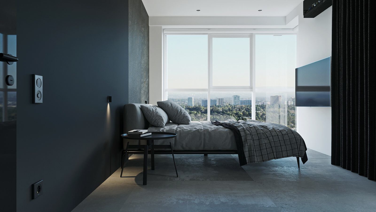 Олива в бетоне