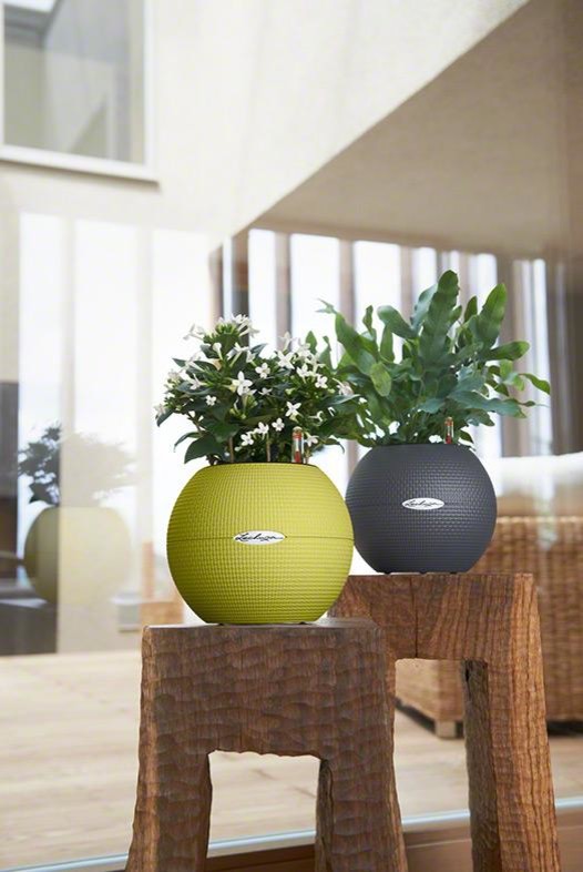 Маленький шар с большим эффектом