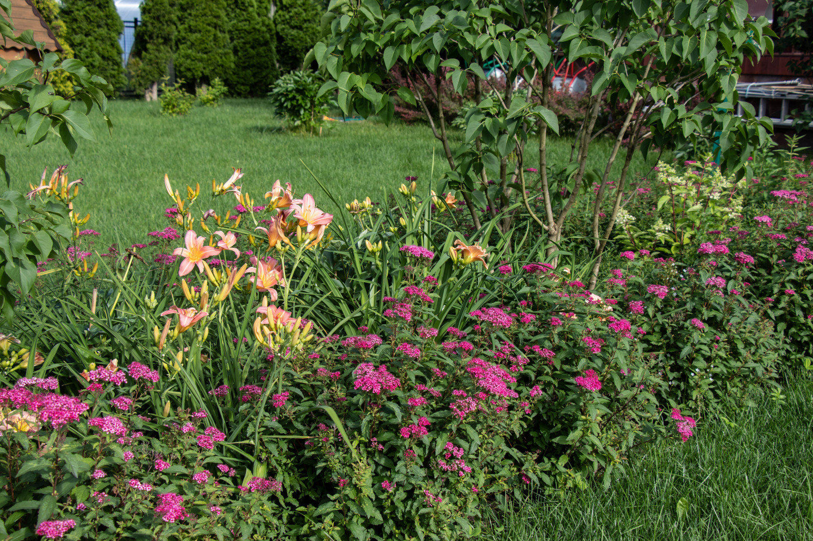 Сосновые берега