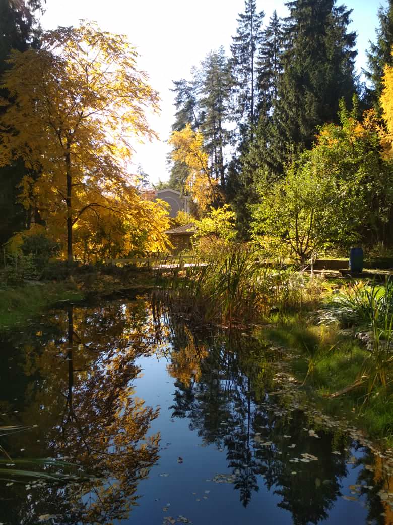 Сад с озером