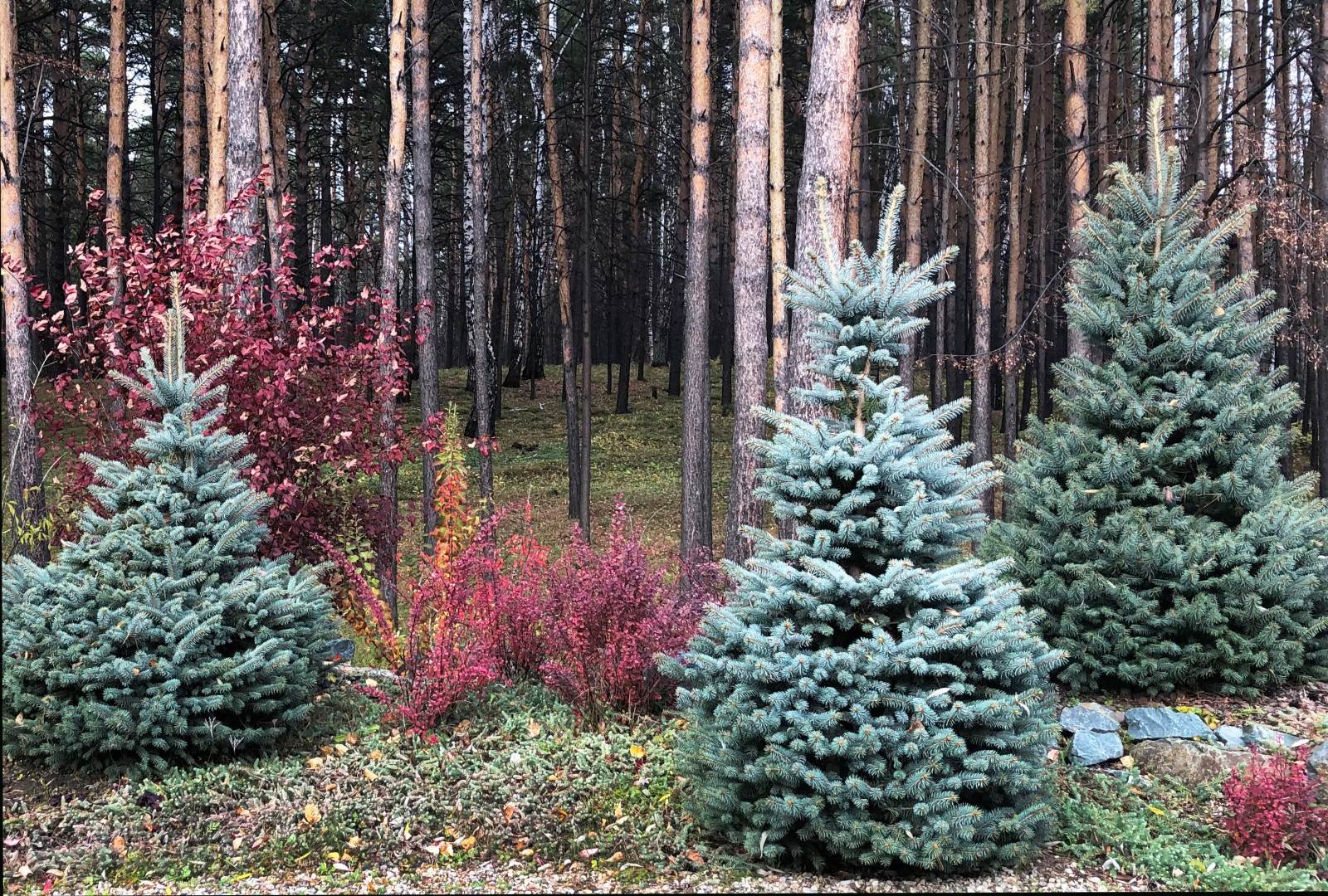 Дом у озера