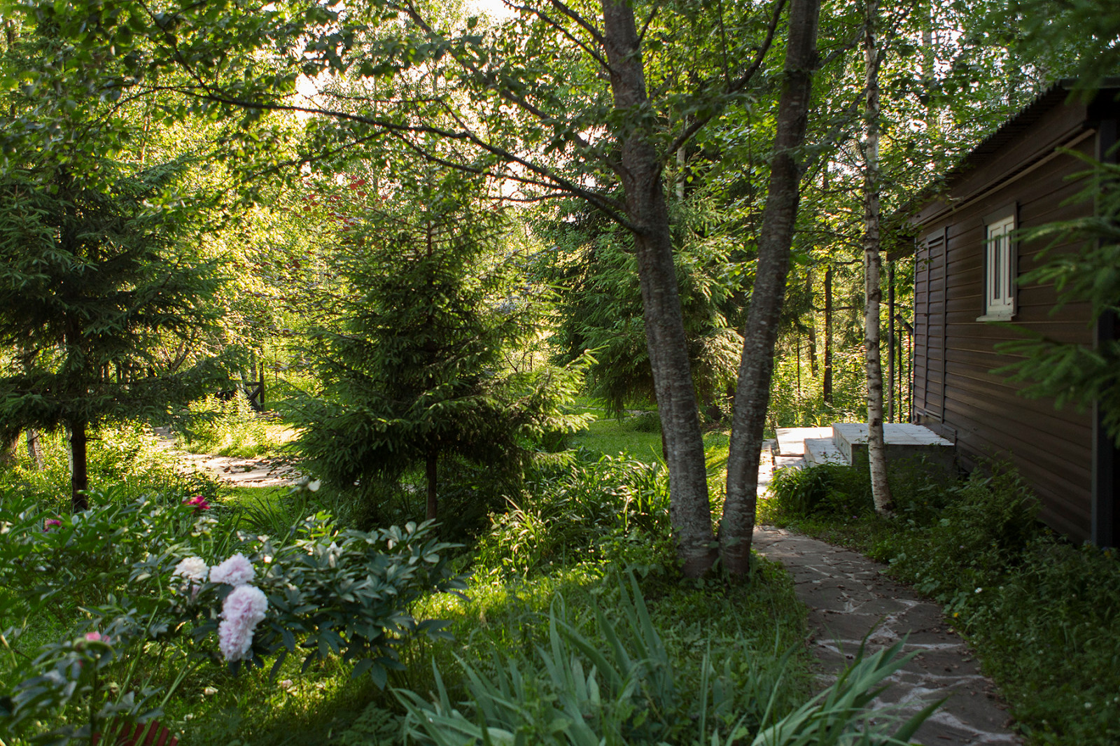 Съёмка Дома и сада на Новорижском шоссе