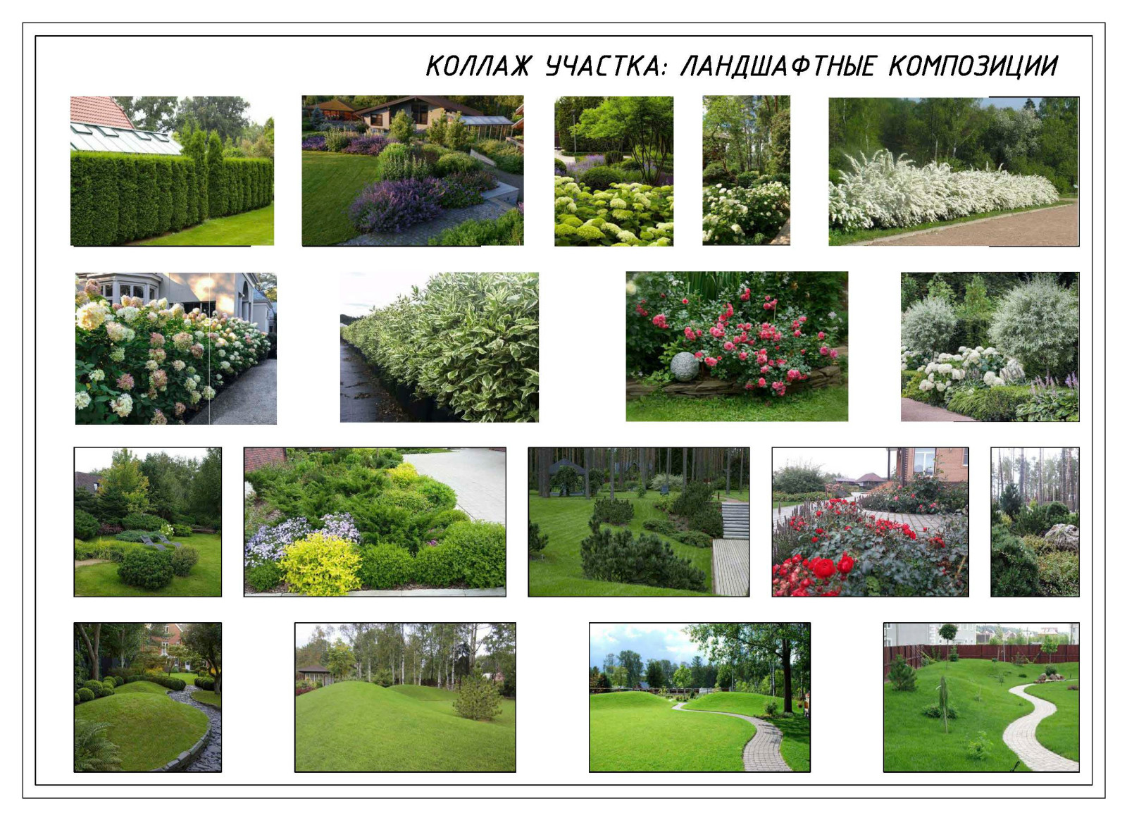 Псковское раздолье