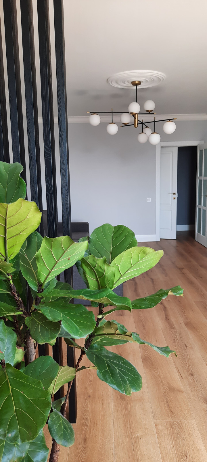 Квартира для молодой семьи.