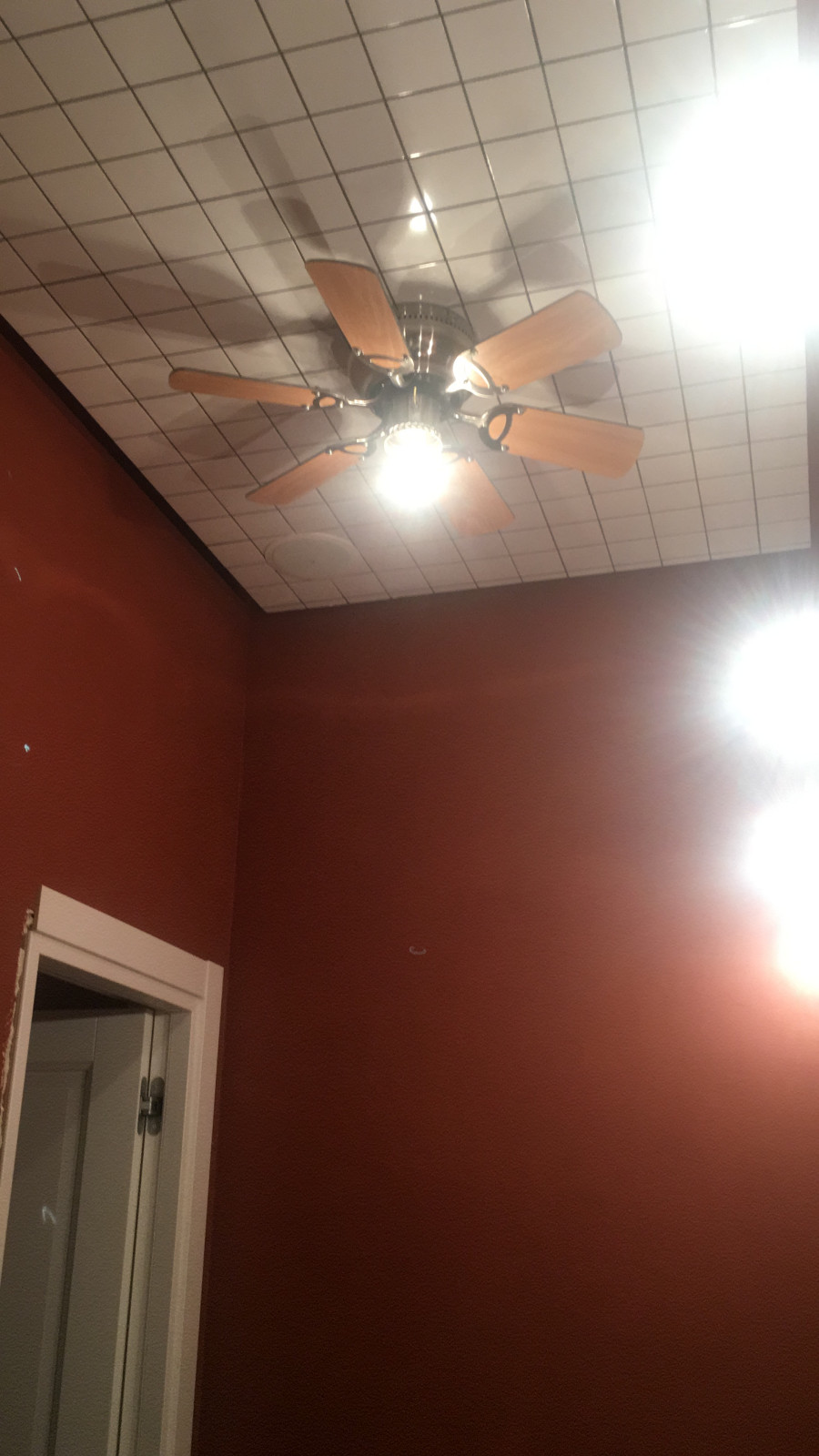 Мой проект - офис Petshop