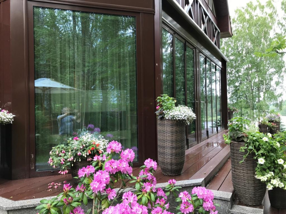 Зимний сад на берегу лесного озера