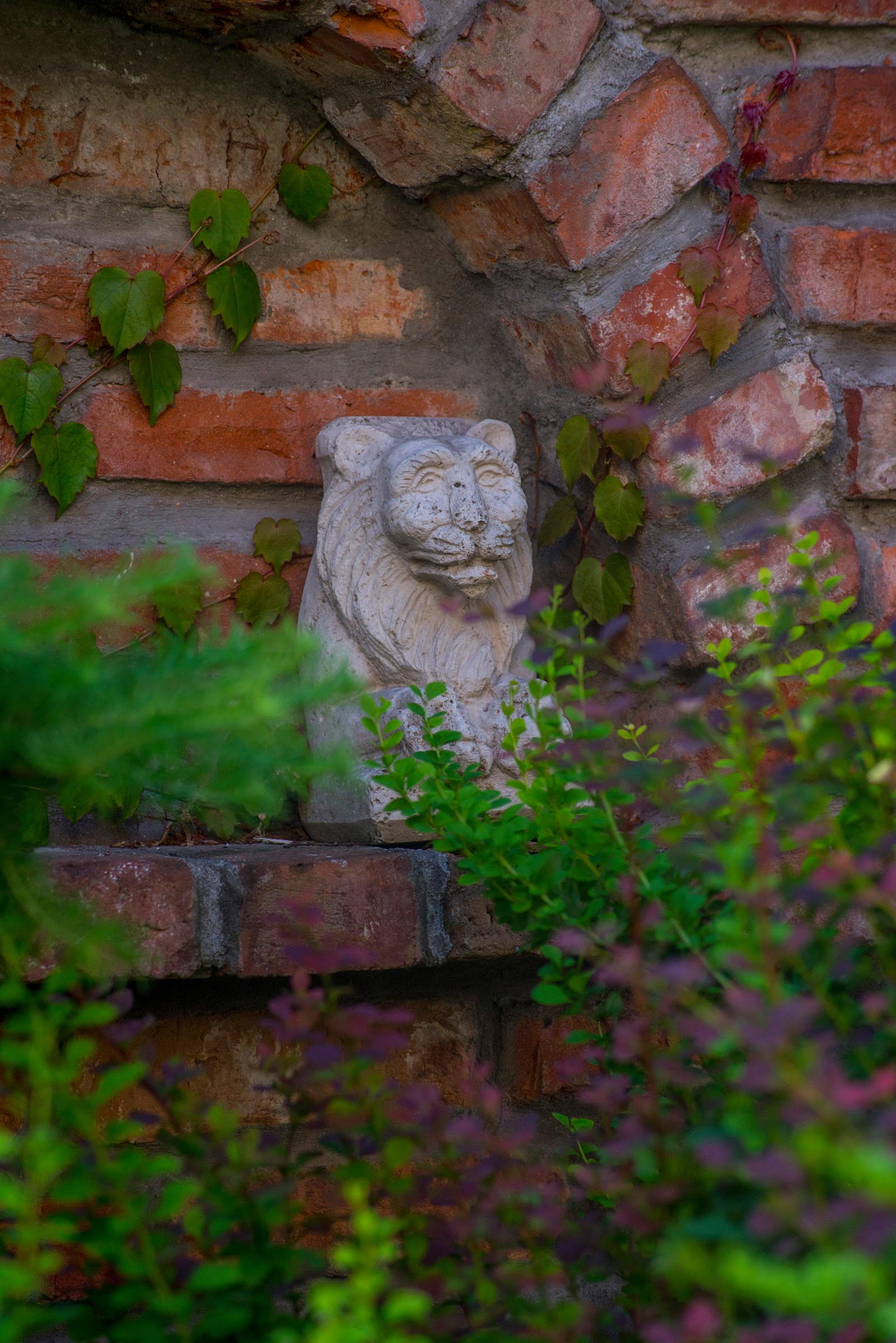 Проект недели: Маленький садик в рустикальном стиле в Калининграде