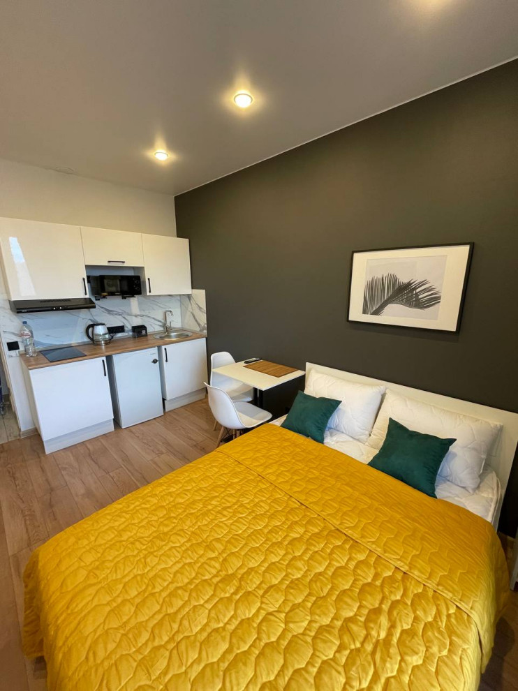 Деление на 3 студии квартиры 55 м2