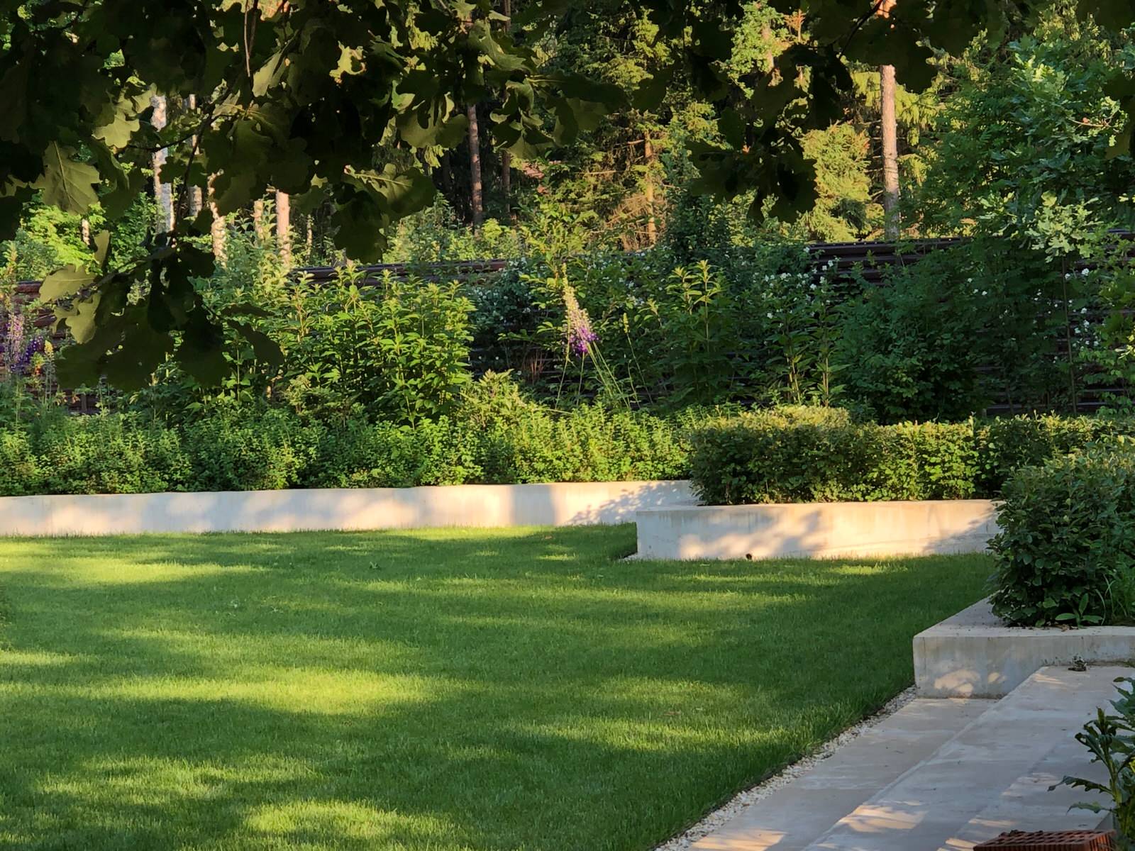 ДНП Ветеран