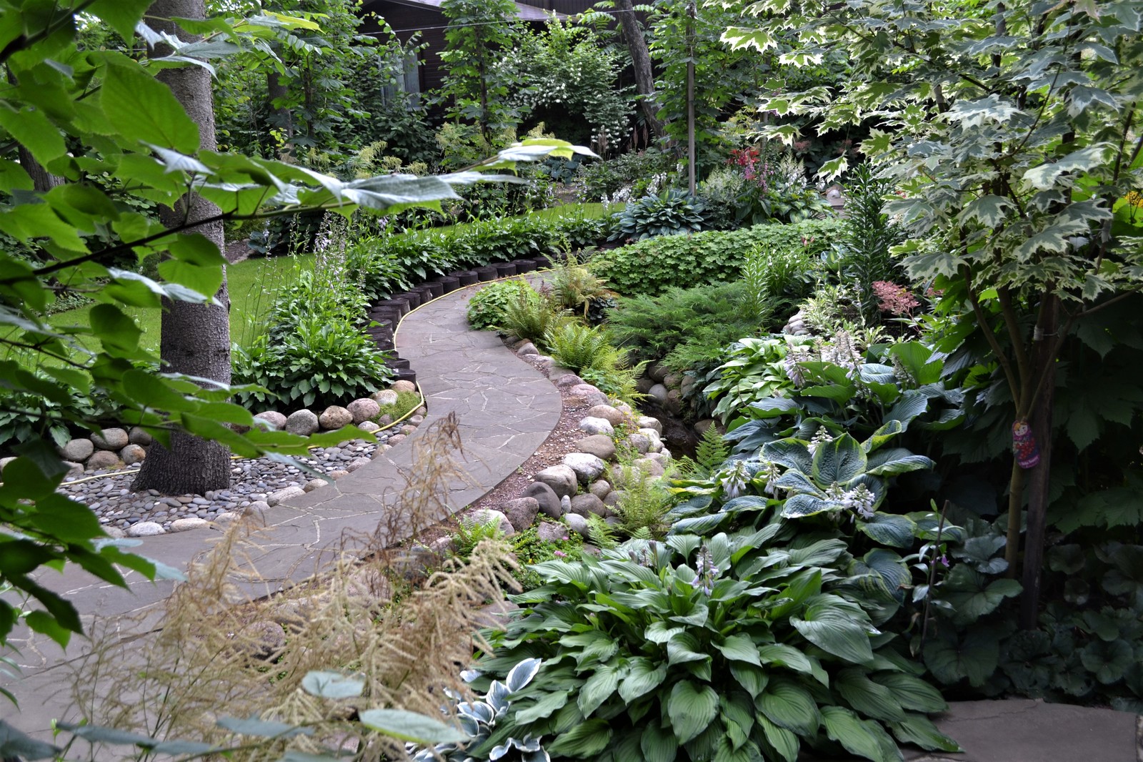 Обложка проекта: Клуб владельцев частных садов "Цветущая Планета": "Сад в лесу", семья ШИДЛОВСКИХ