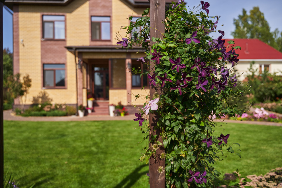 Сад в розовой дымке