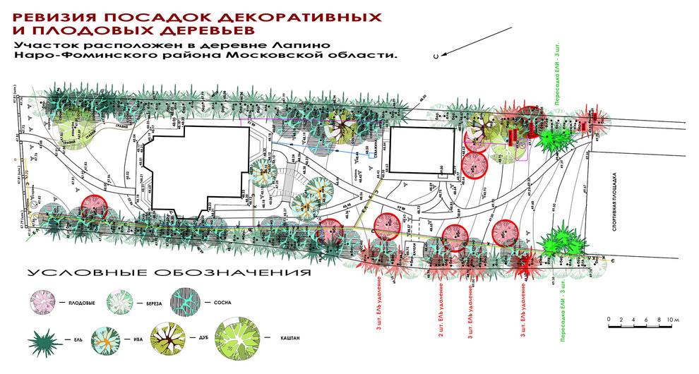 Дизайн дачного участка - план удаления деревьев.