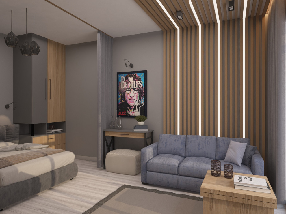 лофт в однокомнатной квартире